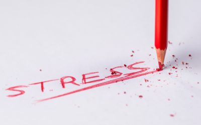 Stress and your immune system: Why you need a stress management plan